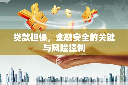 凤泉贷款担保，金融安全的关键与风险控制