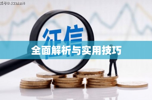 凤泉全面解析与实用技巧