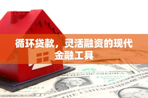 凤泉循环贷款，灵活融资的现代金融工具
