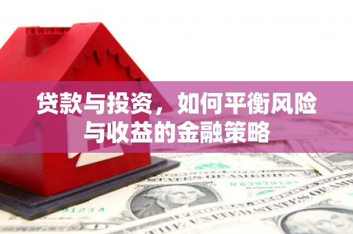 凤泉贷款与投资，如何平衡风险与收益的金融策略