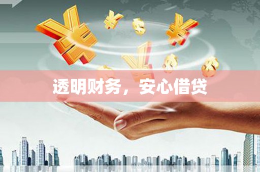凤泉透明财务，安心借贷