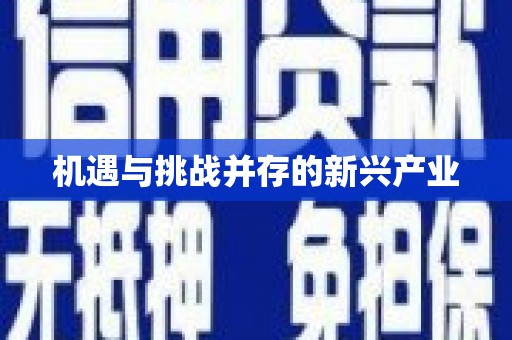 凤泉机遇与挑战并存的新兴产业