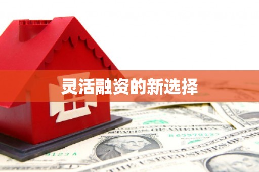 凤泉灵活融资的新选择
