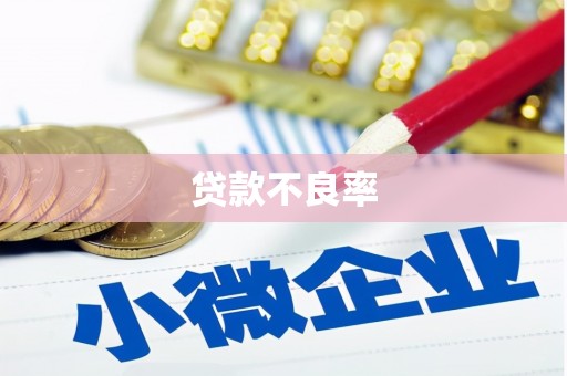 凤泉贷款不良率