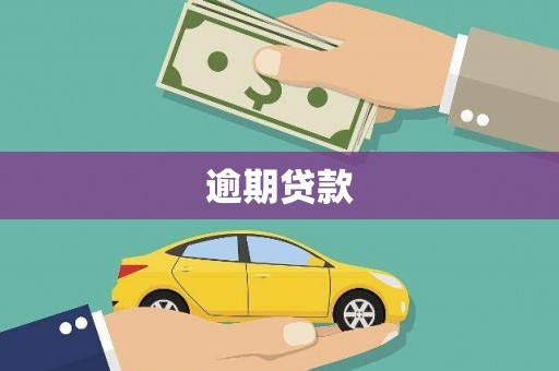 凤泉逾期贷款