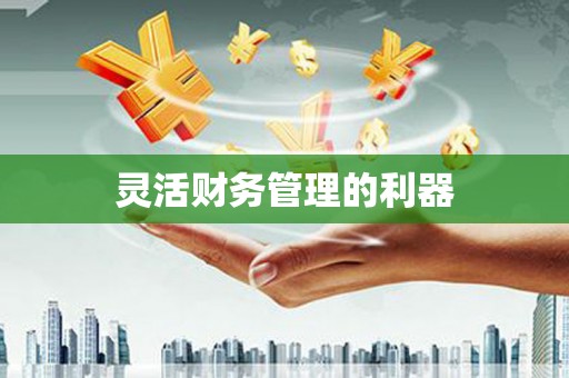凤泉灵活财务管理的利器