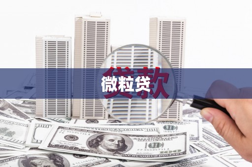 凤泉微粒贷