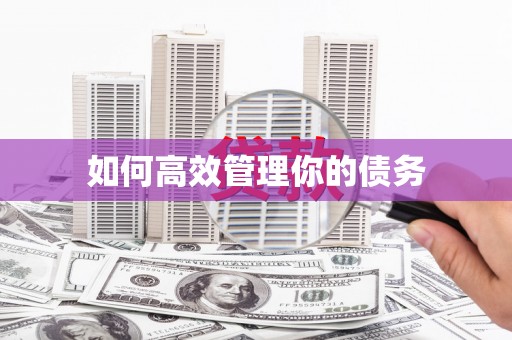 凤泉如何高效管理你的债务