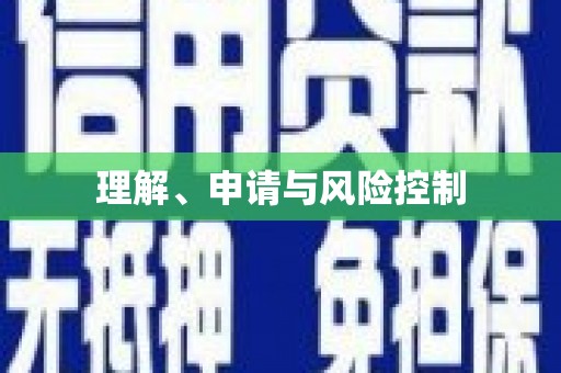 凤泉理解、申请与风险控制