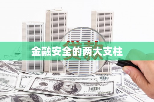 凤泉金融安全的两大支柱