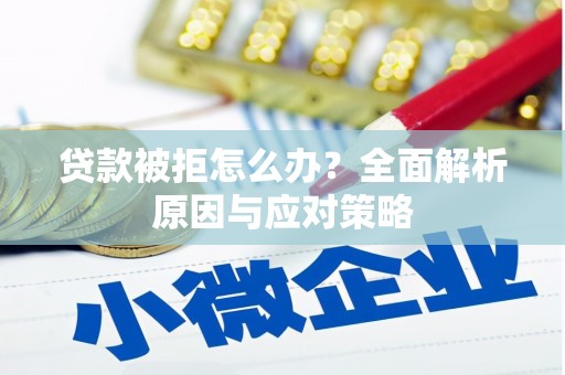凤泉贷款被拒怎么办？全面解析原因与应对策略