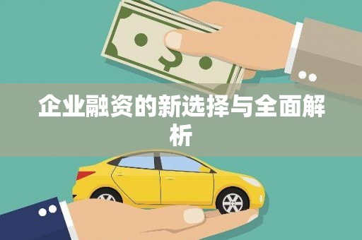 凤泉企业融资的新选择与全面解析