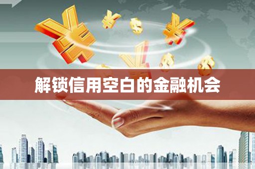 凤泉解锁信用空白的金融机会