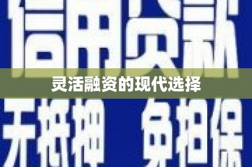 凤泉灵活融资的现代选择