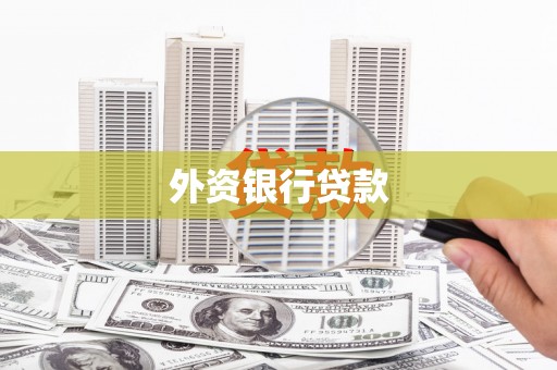 凤泉外资银行贷款