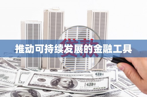 凤泉推动可持续发展的金融工具