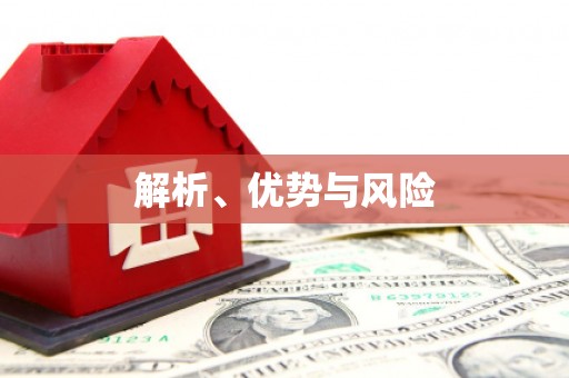 凤泉解析、优势与风险