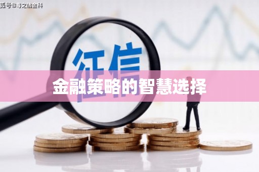 凤泉金融策略的智慧选择