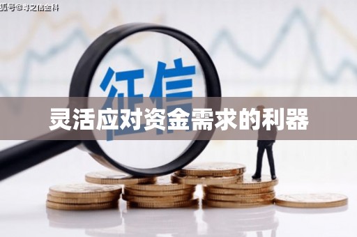凤泉灵活应对资金需求的利器