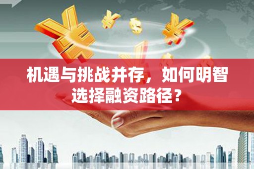 凤泉机遇与挑战并存，如何明智选择融资路径？