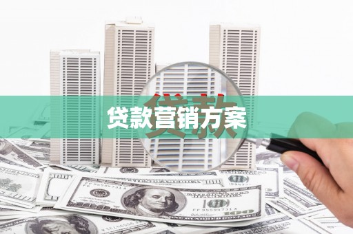 凤泉贷款营销方案