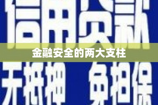 凤泉金融安全的两大支柱