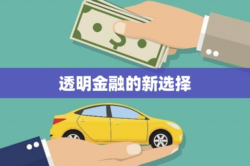 凤泉透明金融的新选择