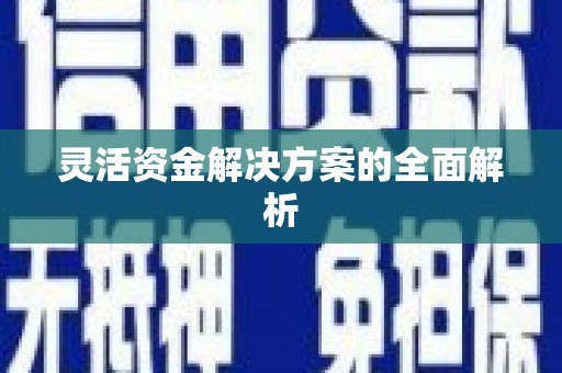 凤泉灵活资金解决方案的全面解析