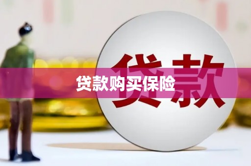 凤泉贷款购买保险
