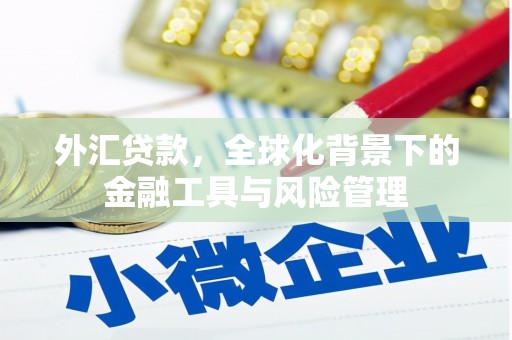 凤泉外汇贷款，全球化背景下的金融工具与风险管理