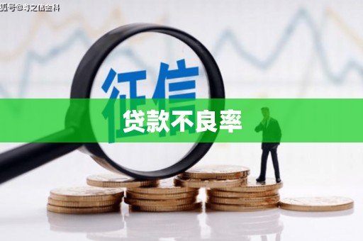 凤泉贷款不良率