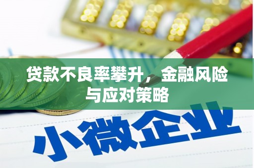 凤泉贷款不良率攀升，金融风险与应对策略