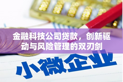凤泉金融科技公司贷款，创新驱动与风险管理的双刃剑
